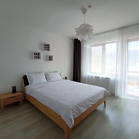 Zander Home Apartment Busteni Luaran gambar