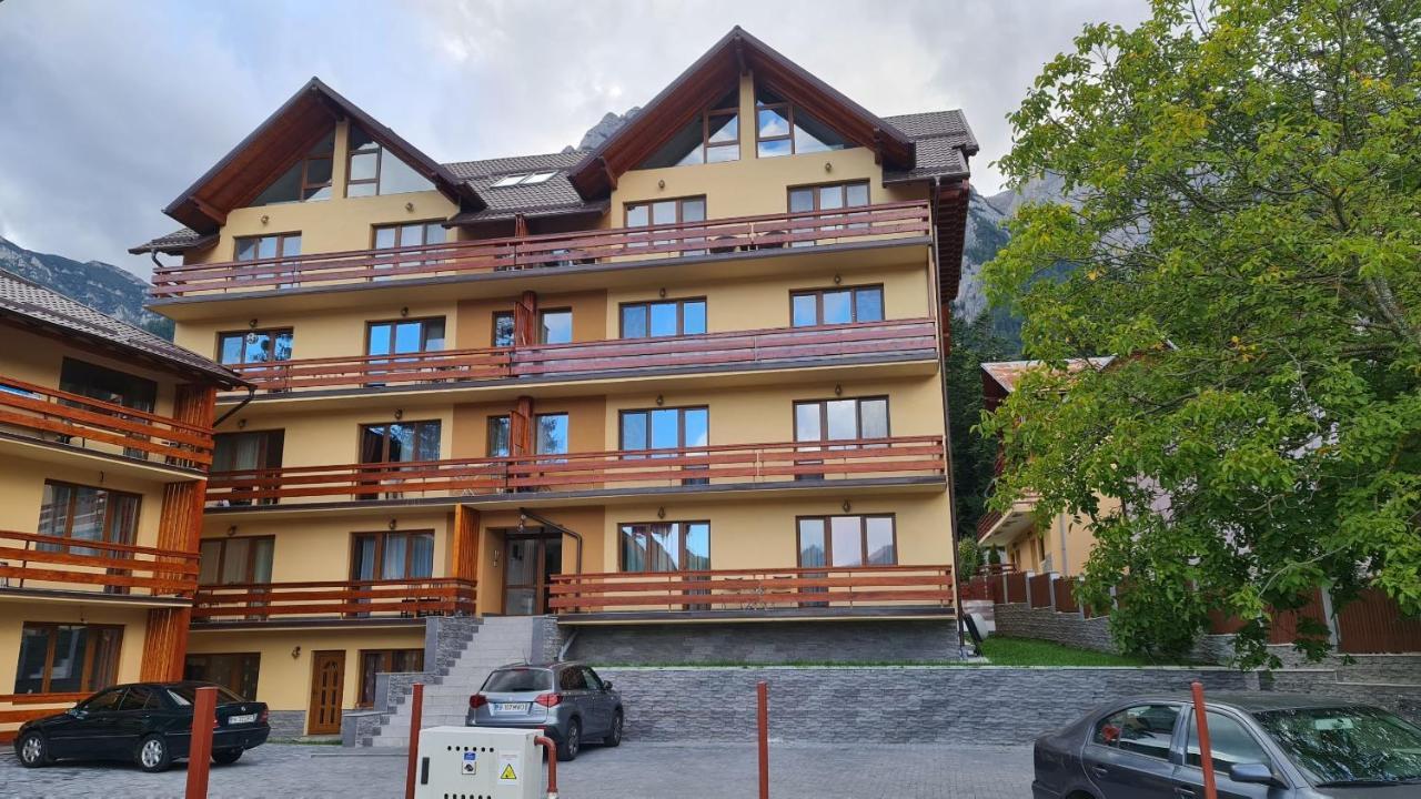 Zander Home Apartment Busteni Luaran gambar