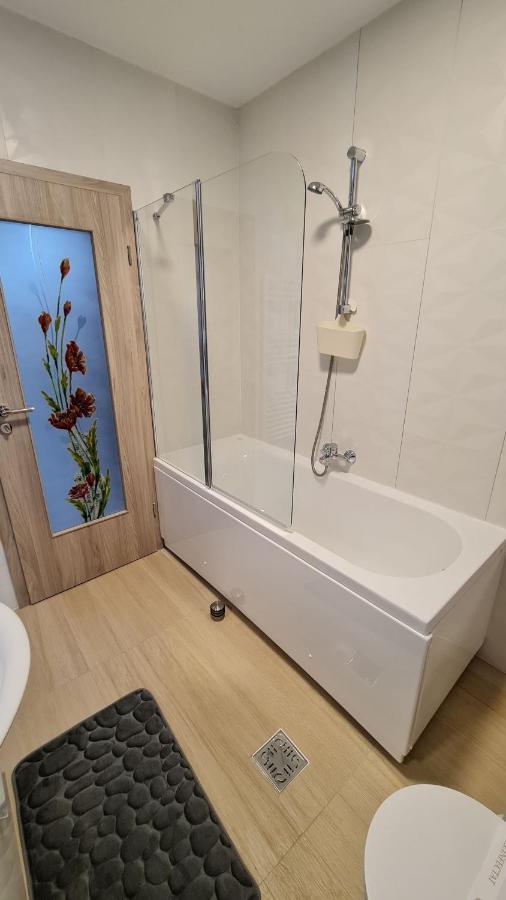 Zander Home Apartment Busteni Luaran gambar