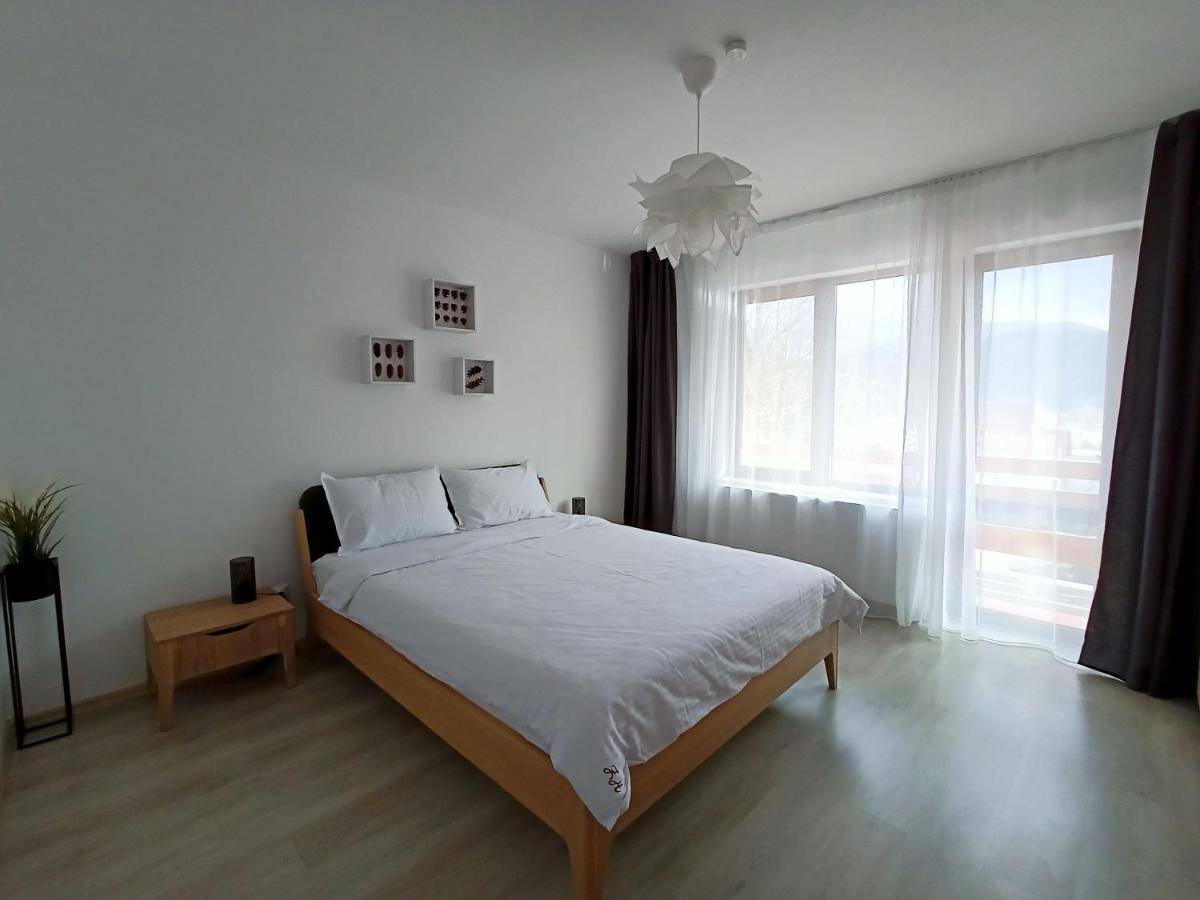 Zander Home Apartment Busteni Luaran gambar