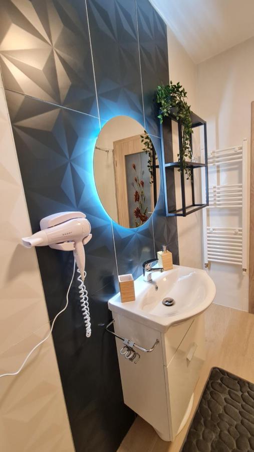 Zander Home Apartment Busteni Luaran gambar